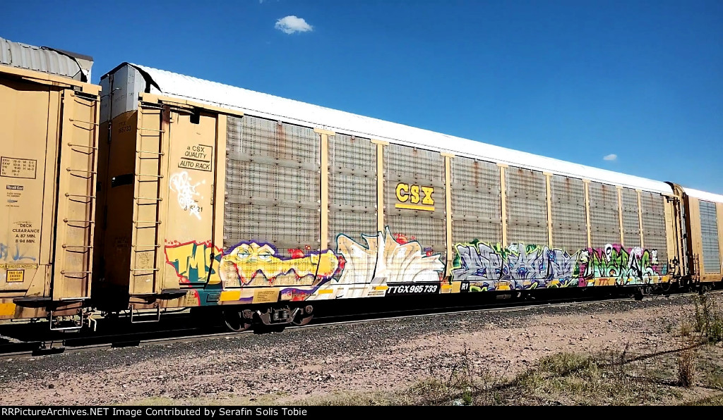 TTGX 965733 Rack CSX